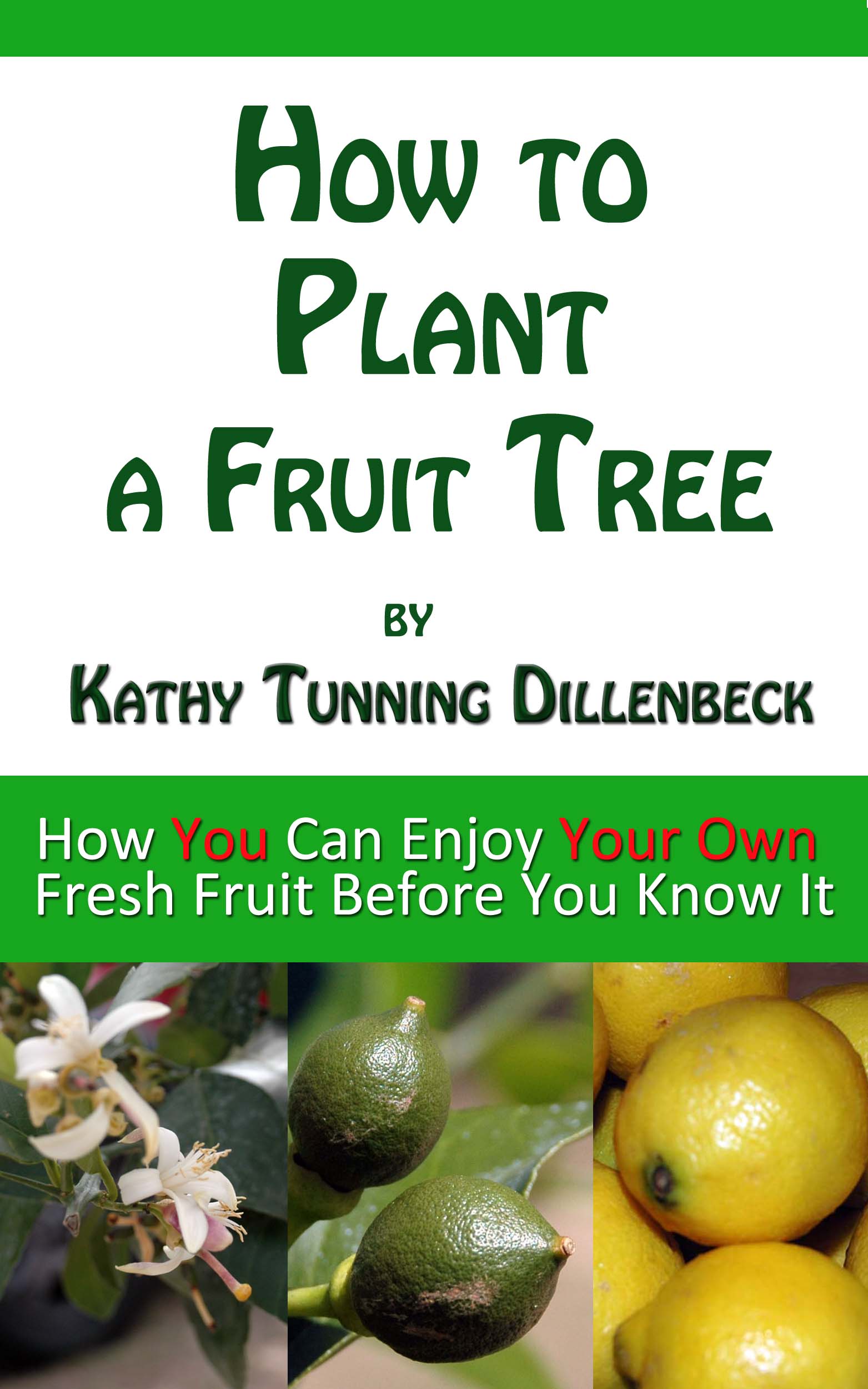 How to Plant a Fruit Tree